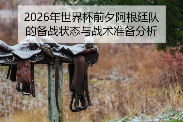 2026年世界杯前夕阿根廷队的备战状态与战术准备分析