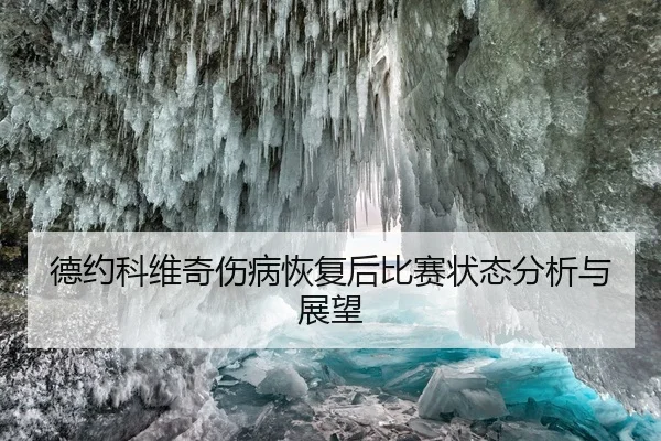 德约科维奇伤病恢复后比赛状态分析与展望