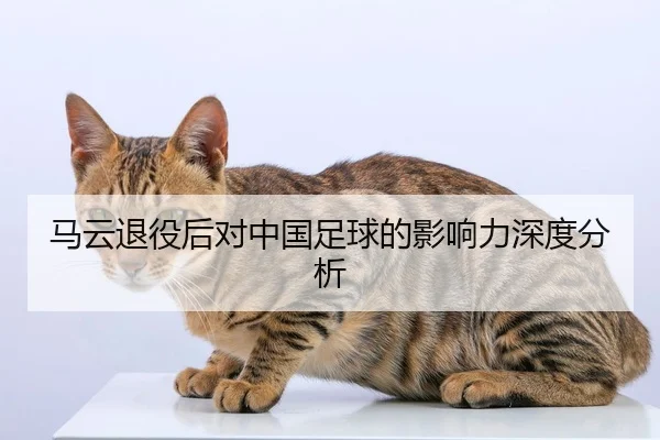 马云退役后对中国足球的影响力深度分析