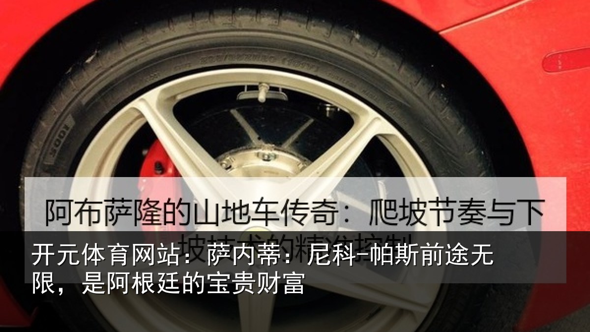 开元体育网站:萨内蒂:尼科相关情况根廷的宝贵财富