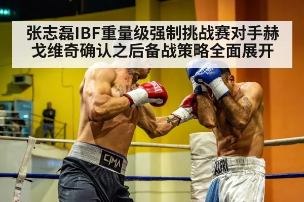张志磊IBF重量级强制挑战赛对手赫戈维奇确认之后备战策略全面展开