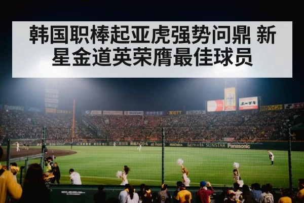 baseball stadium night game